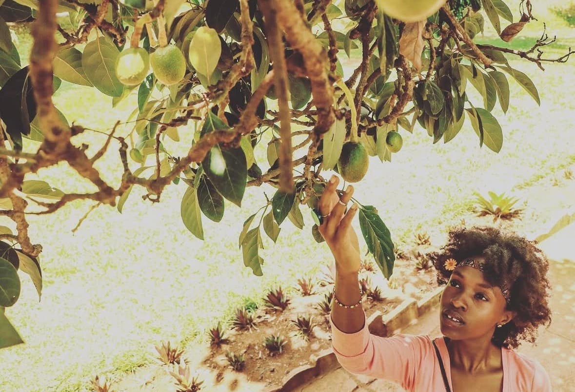 Hand reaching toward fruit on a tree branch in warm light
