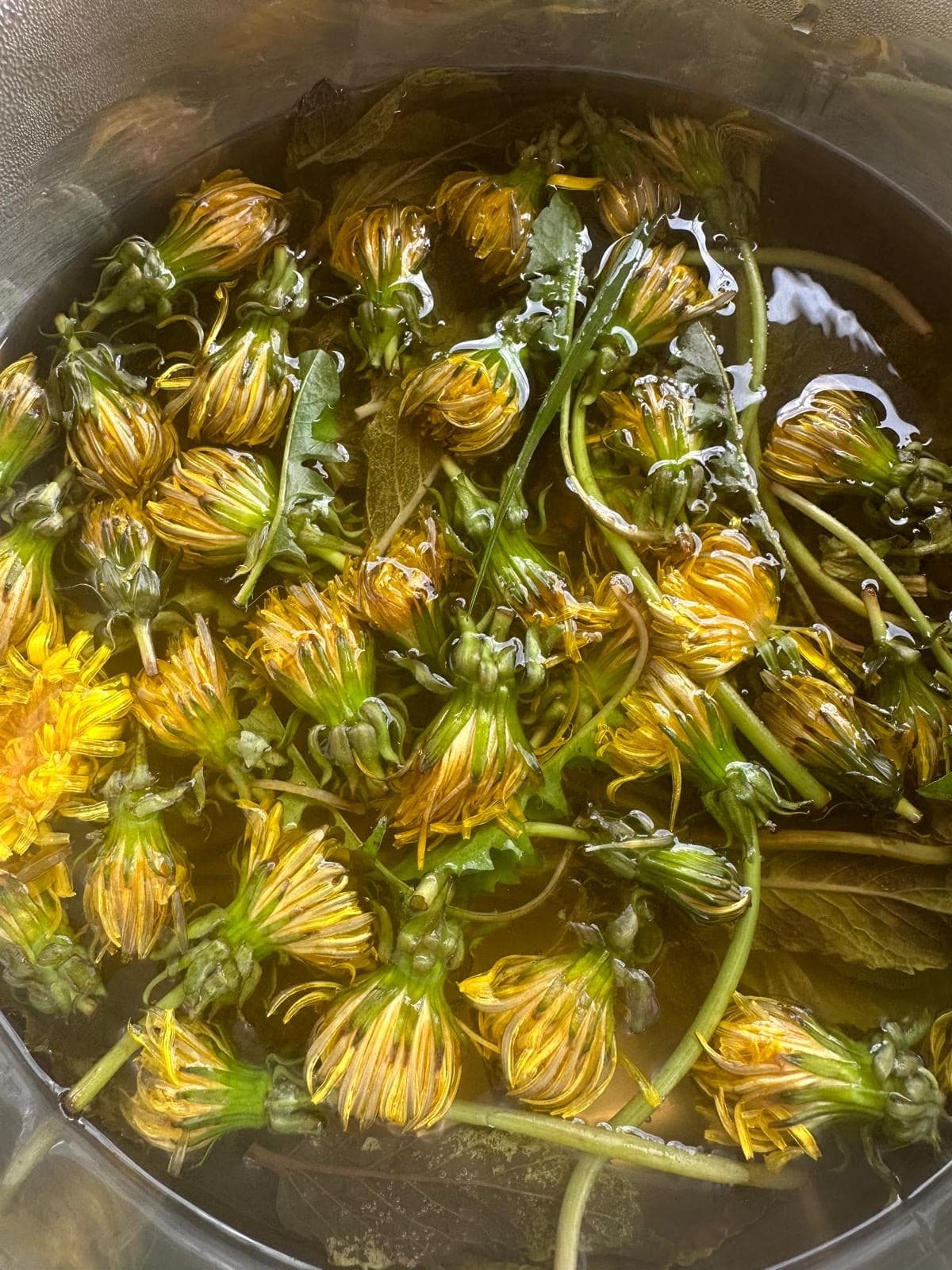 Golden flowers steeping in water, herbal preparation